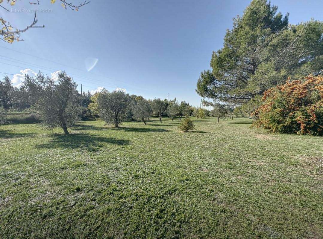 Maison à CHEVAL-BLANC