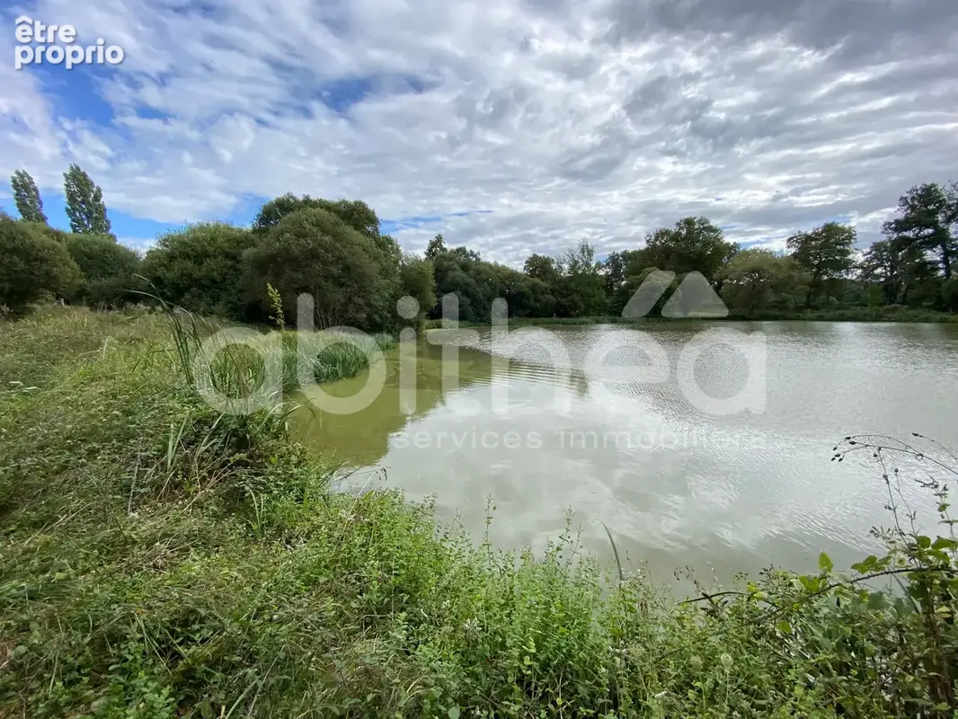 Terrain de loisirs avec 2 etangs - photo 13