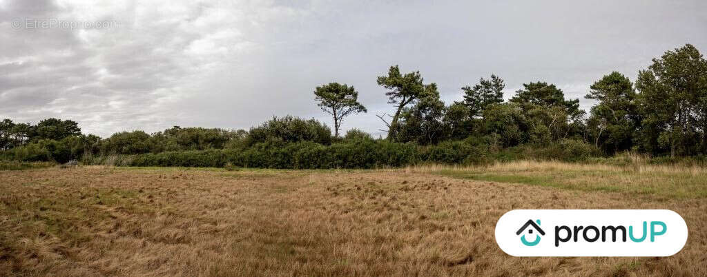 Terrain à LANDUNVEZ