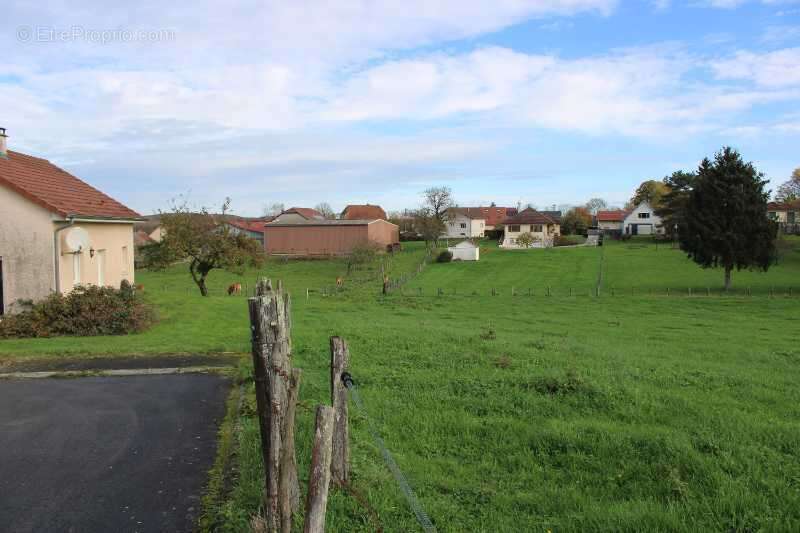Terrain à GENEUILLE