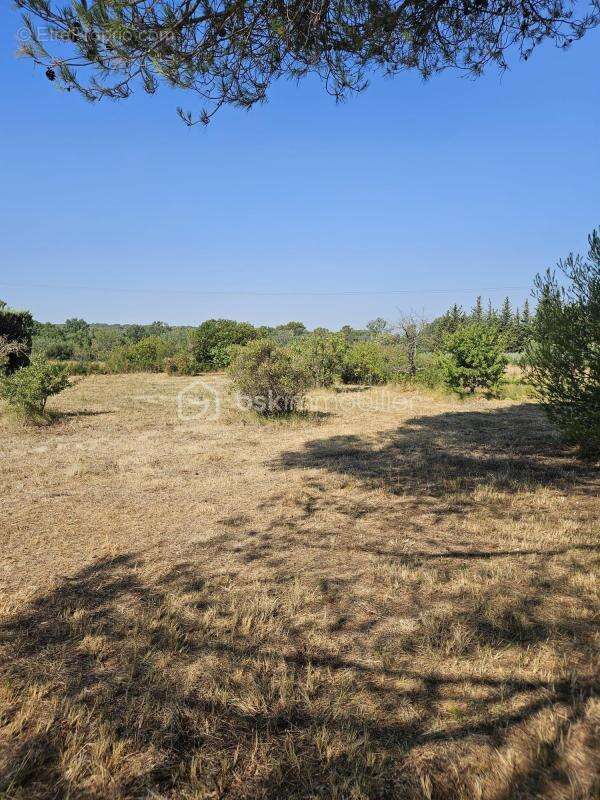 Maison de caractère à rénover – 4 800 m² de terrain – Un cadre naturel exceptionnel à Ventabren - photo 24