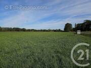 Terrain à SAULT-DE-NAVAILLES