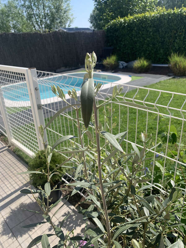 Maison à LIBERCOURT