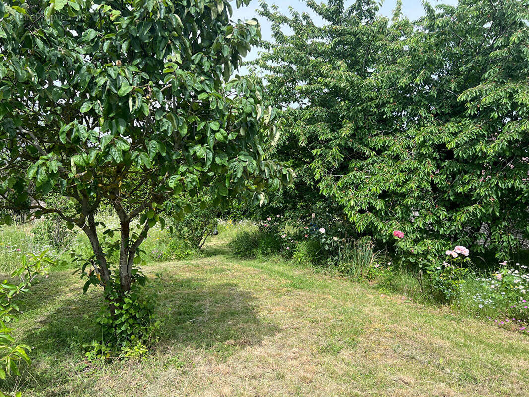 Terrain à MONTAINVILLE