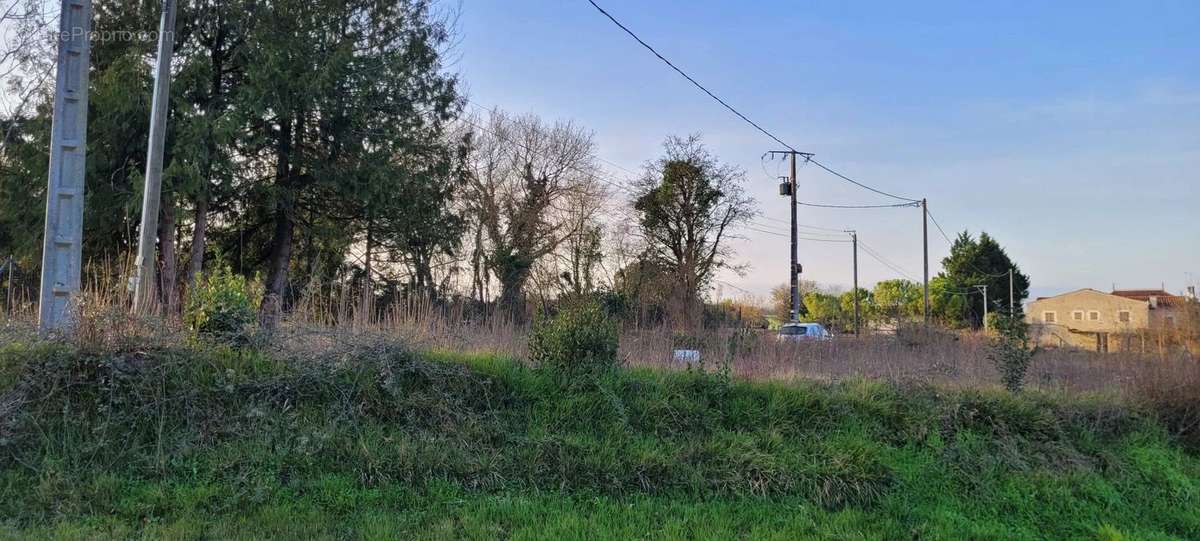 Terrain à SAINT-PIERRE-DE-JUILLERS