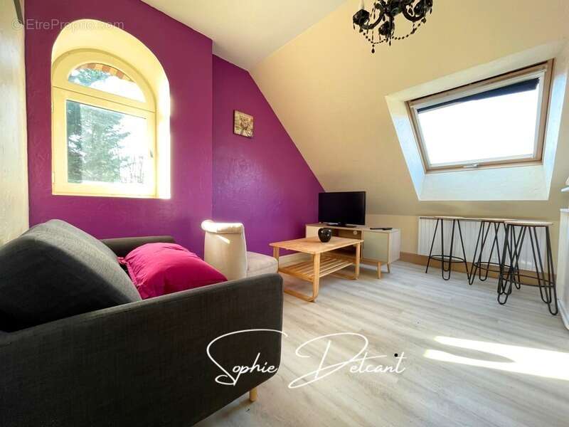 Belle Maison bourgeoise 7 pièces AMBOISE (37) - photo 11