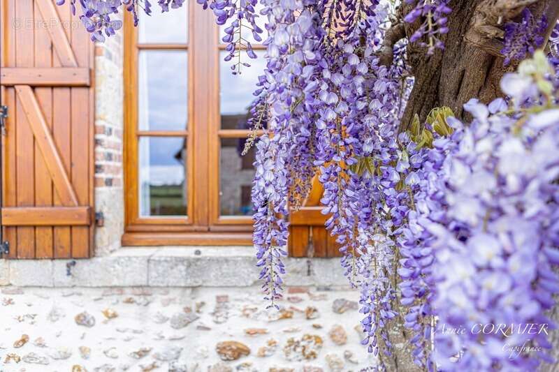 Propriété d'Agrément à vendre, Gîtes, Chambre d’hôtes - photo 4
