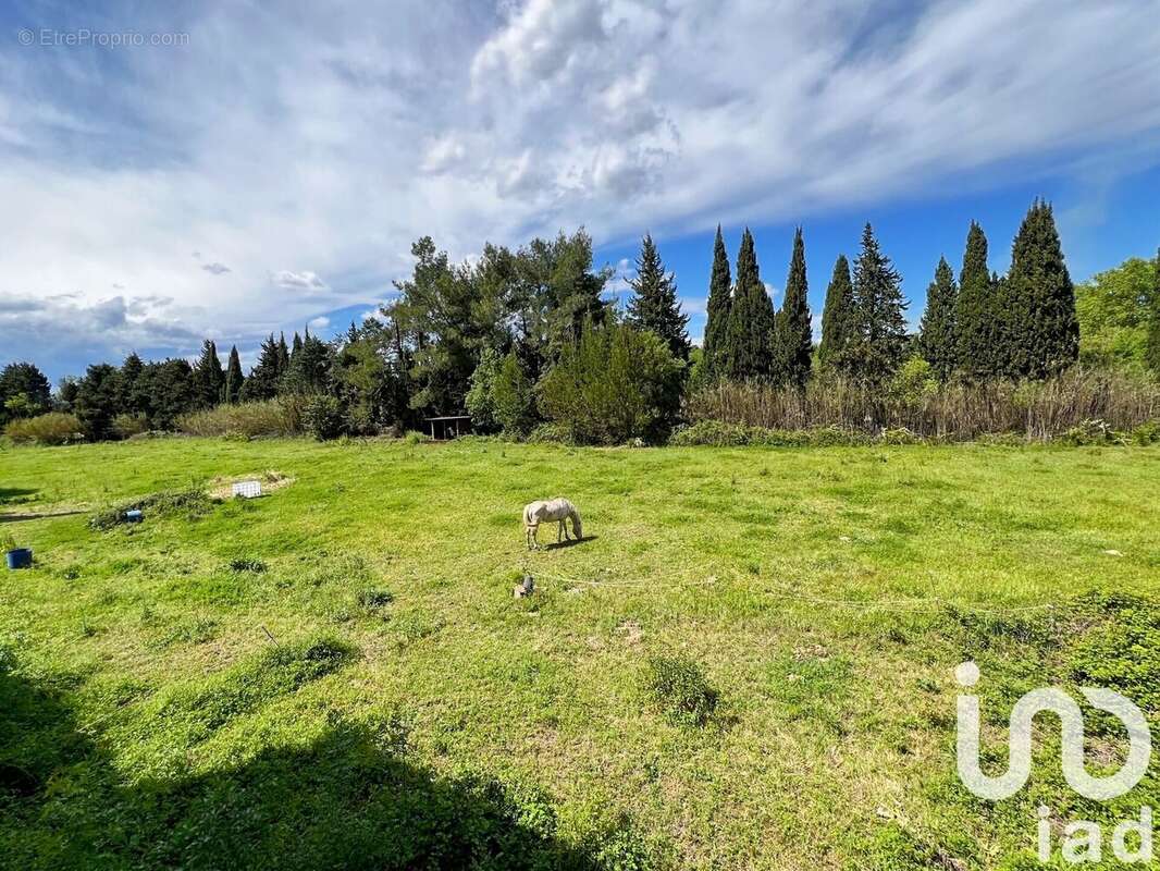 Photo 6 - Maison à SAINT-REMY-DE-PROVENCE