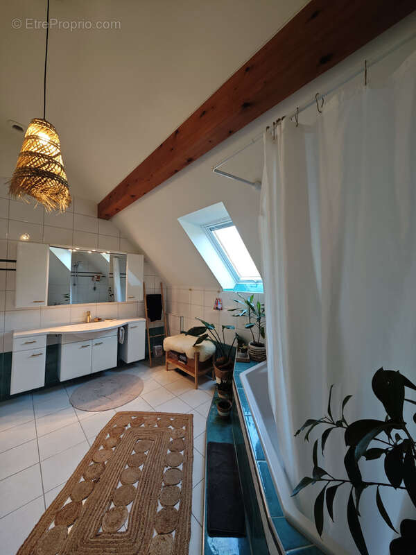 Appartement à HEGENHEIM