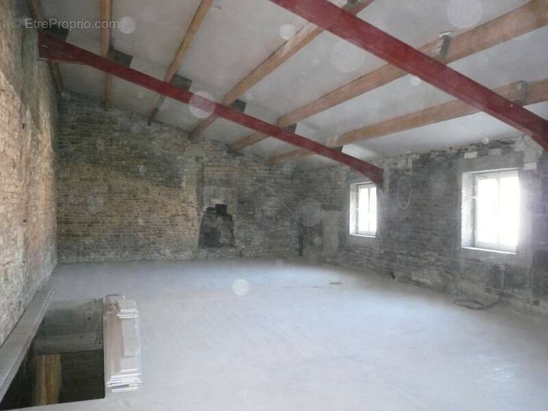  BALLANS (17) A Vendre MAISON de VILLAGE Rénovée à Aménager  - photo 9