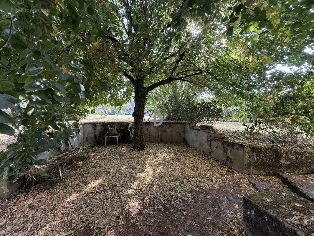 Maison T4 - 120 m2 - Blaye-les-Mines - photo 13