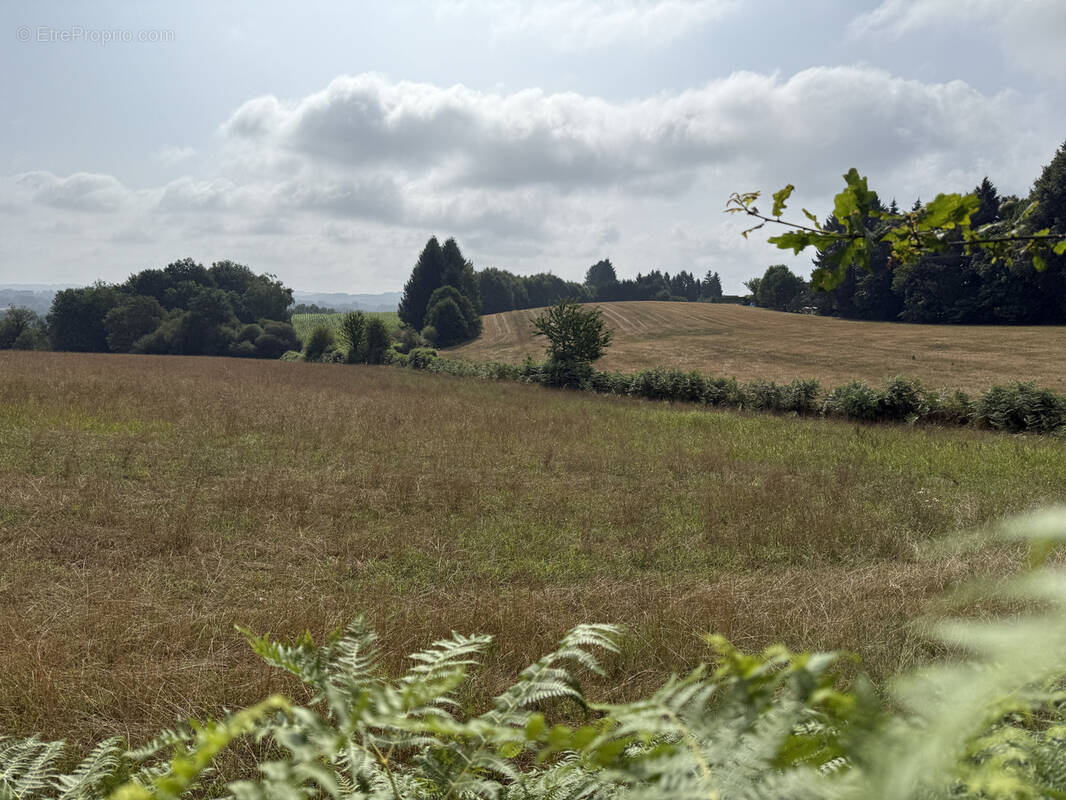Terrain à SAINT-PARDOUX-L&#039;ORTIGIER