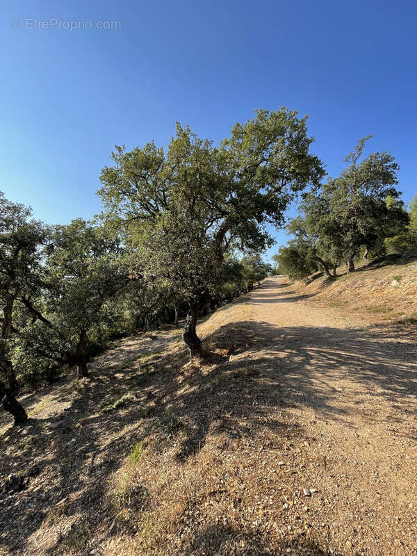 Terrain à SIX-FOURS-LES-PLAGES