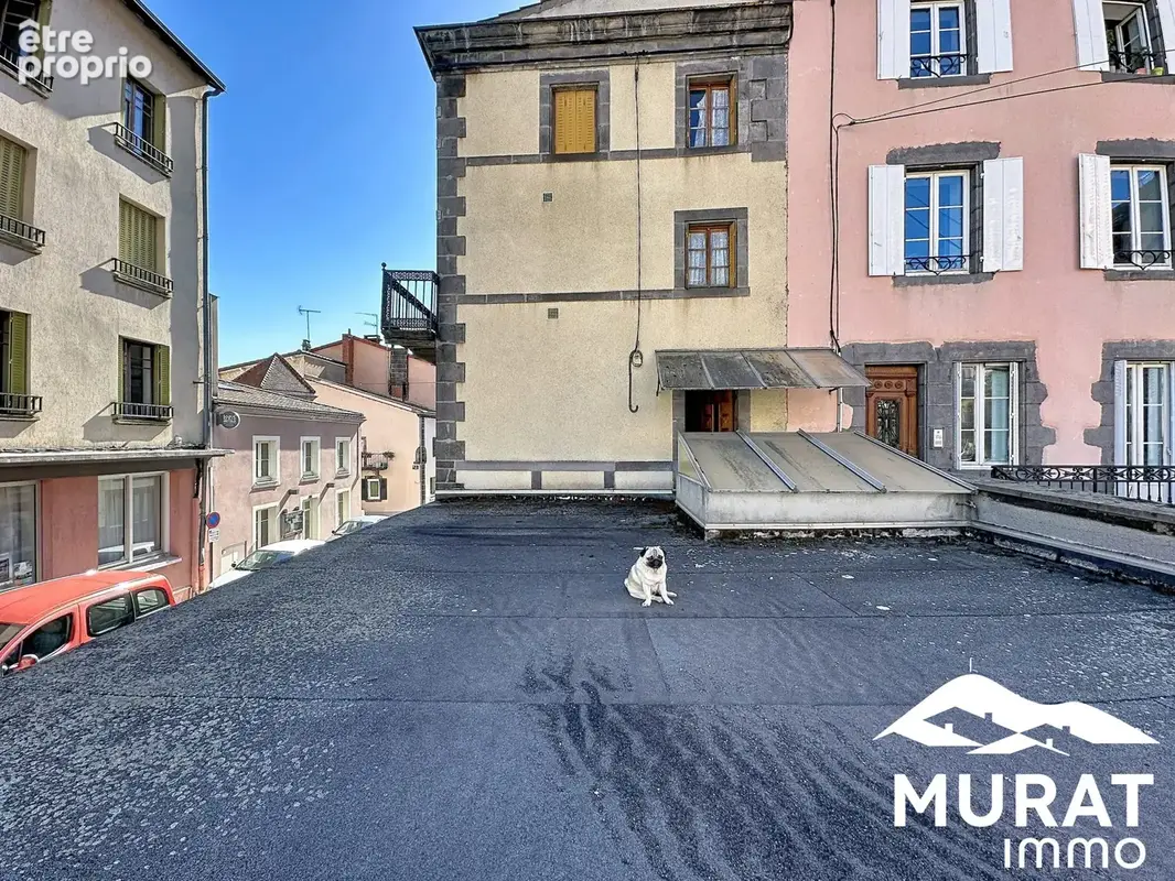 Appartement 240 m² à vendre à Volvic (63530) - photo 4