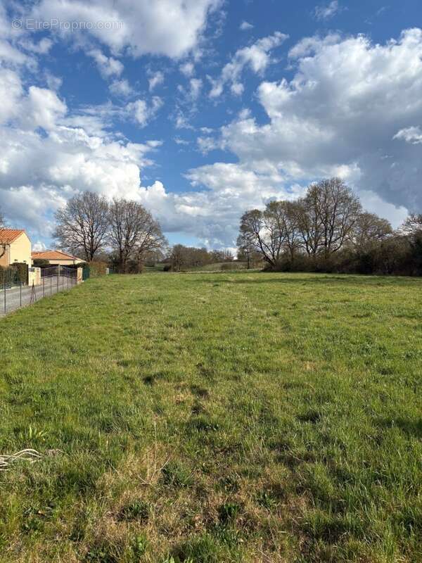 Terrain à ARTHON-EN-RETZ