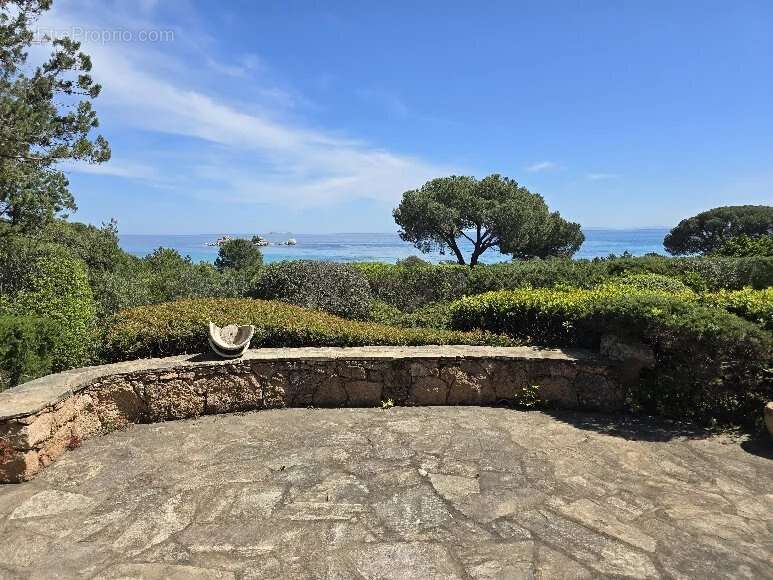 Maison à PORTO-VECCHIO