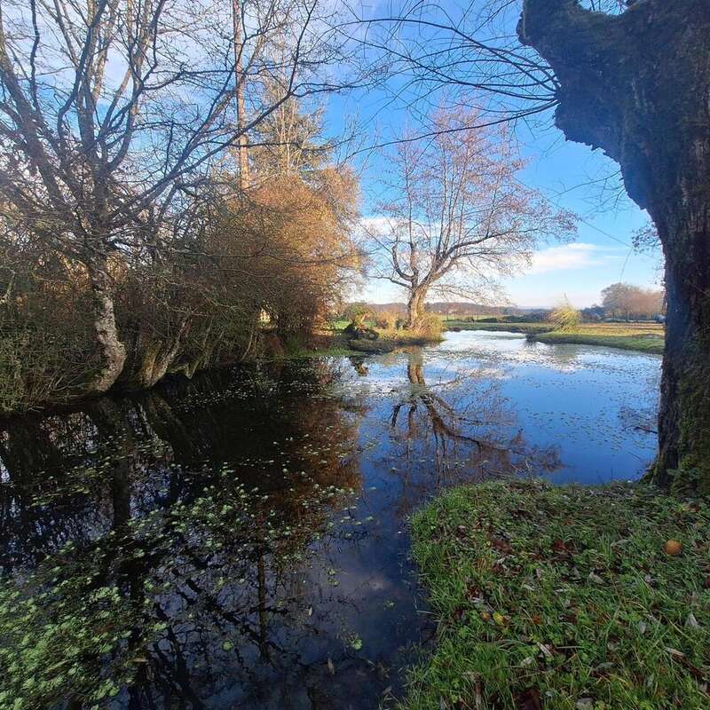 Photo 6 - Maison à SAINT-EMILAND