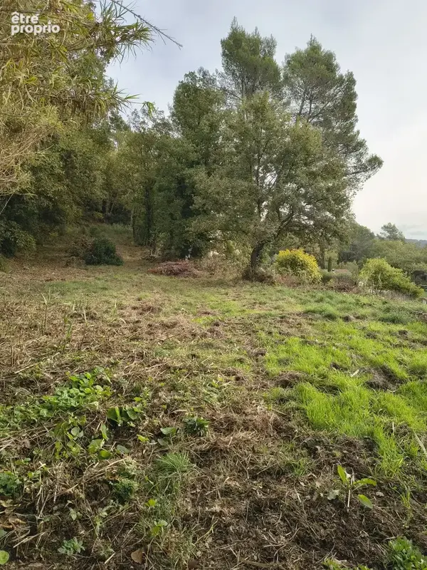 Terrain à bâtir de 2927 m² à BAGNOLS-EN-FORET (83) - photo 2