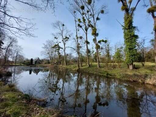 Etang - Maison à HUDIMESNIL