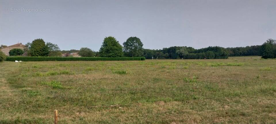 Terrain à PRIGNAC-ET-MARCAMPS