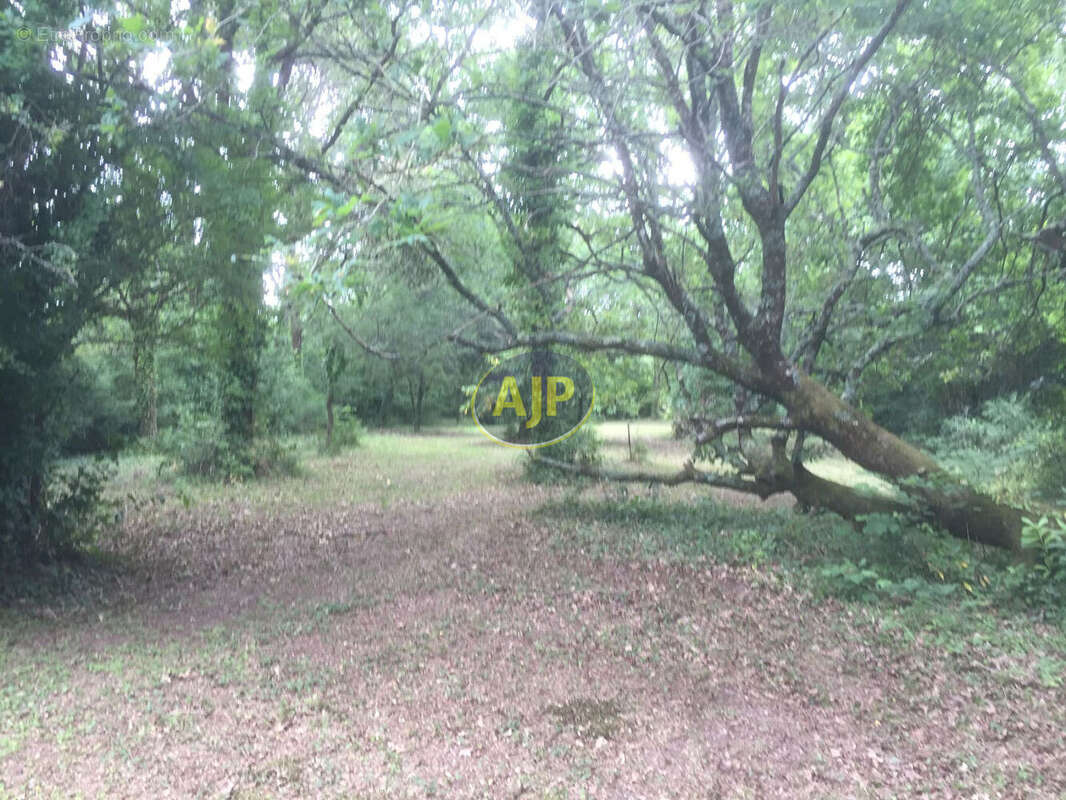 Terrain constructible, SAINT-VIVIEN-DE-MEDOC - photo 2