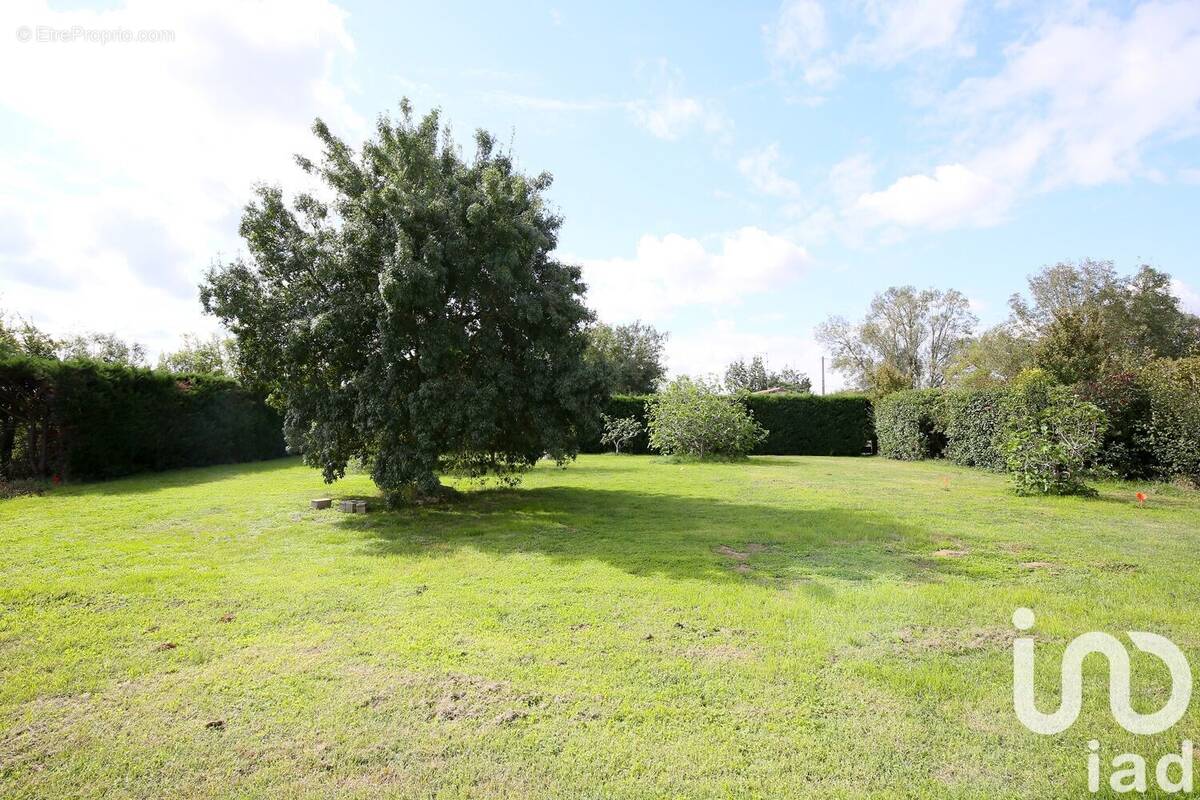 Photo 1 - Terrain à MONTAIGUT-SUR-SAVE