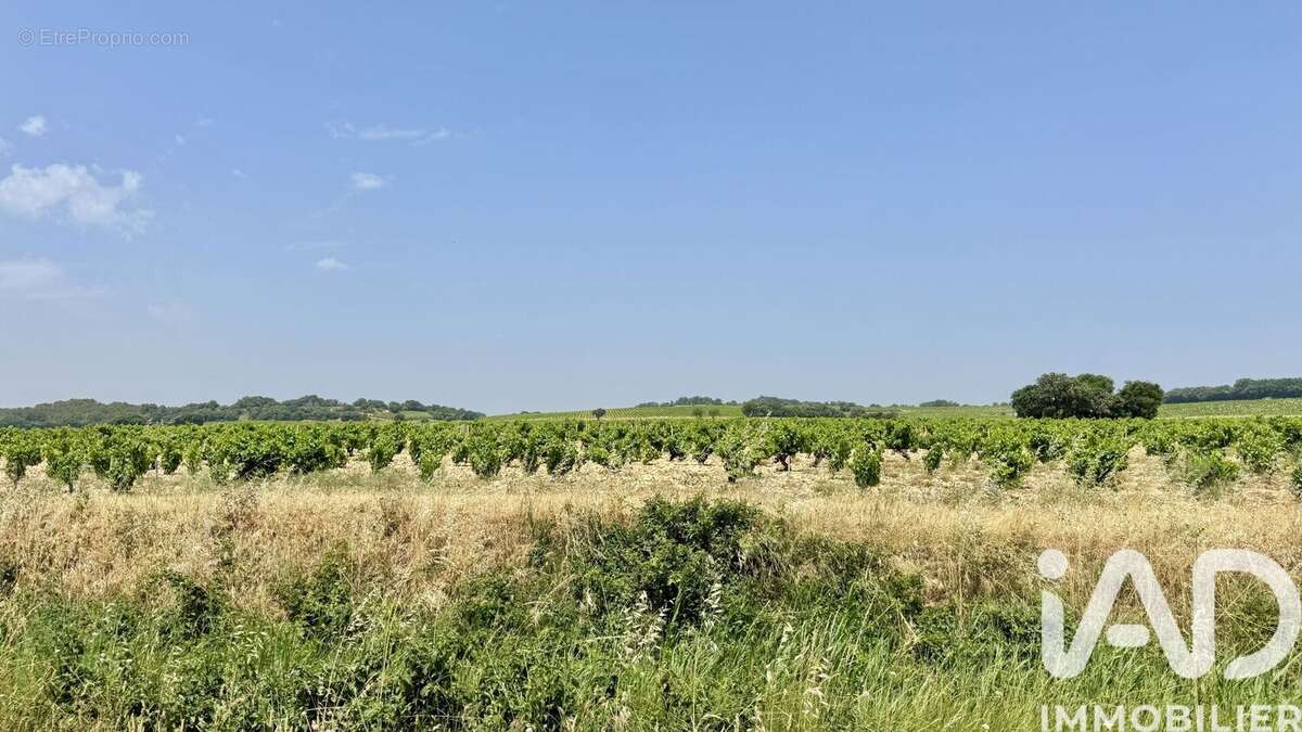 Photo 2 - Terrain à BEDARRIDES