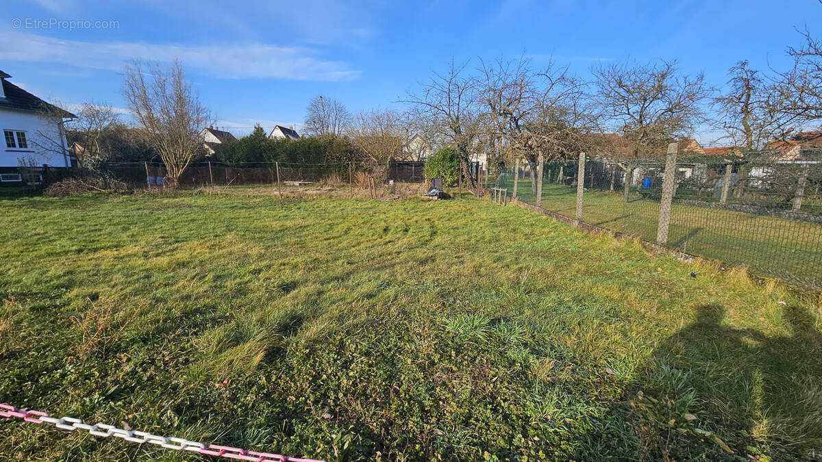 Terrain à SESSENHEIM