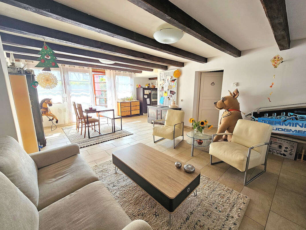 Hagenthal-le-haut maison alsacienne rénovée de 180 m2 - photo 5
