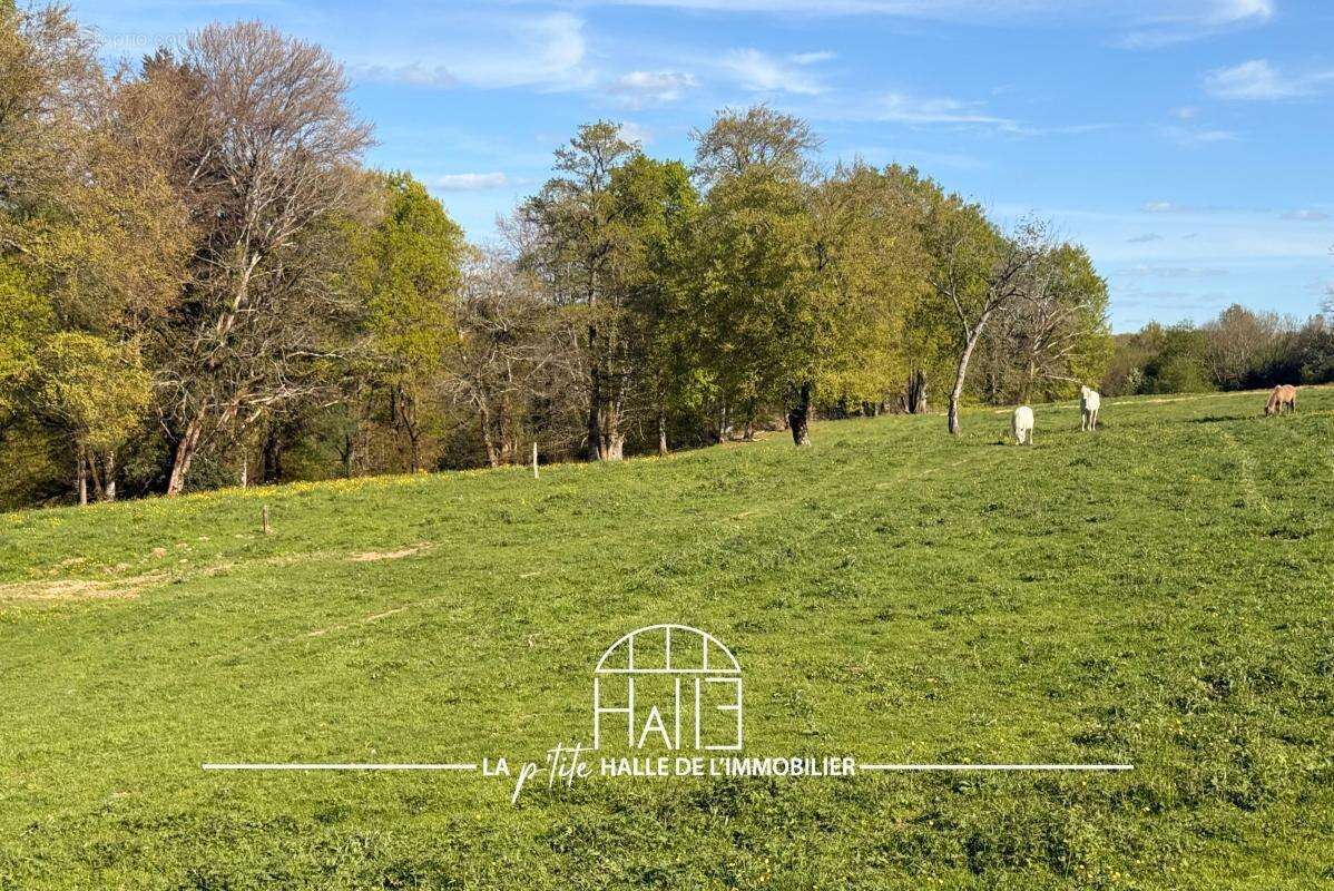 Terrain à SAINT-JUST-LE-MARTEL