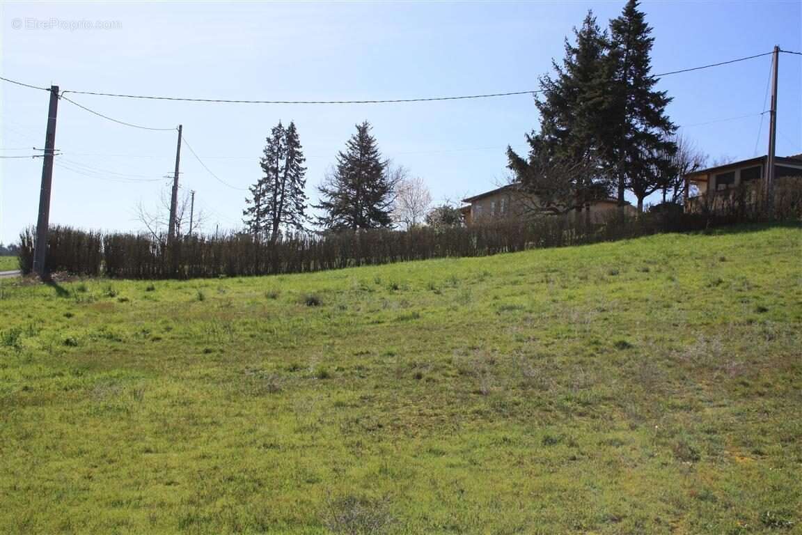 Terrain 2590 m² à Graulhet  - photo 4