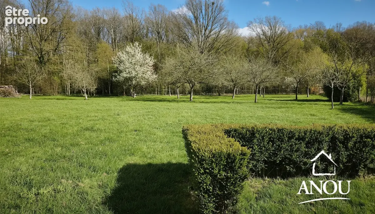 Maison  isole avec grand terrain - photo 13