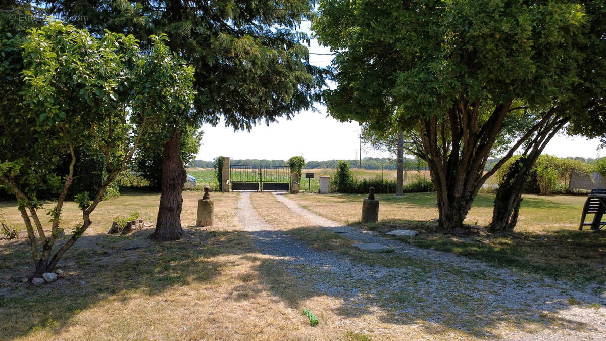 Maison 173m2 avec garage et grande dépendance sur un grand terrain boisé à Prosnes - photo 2