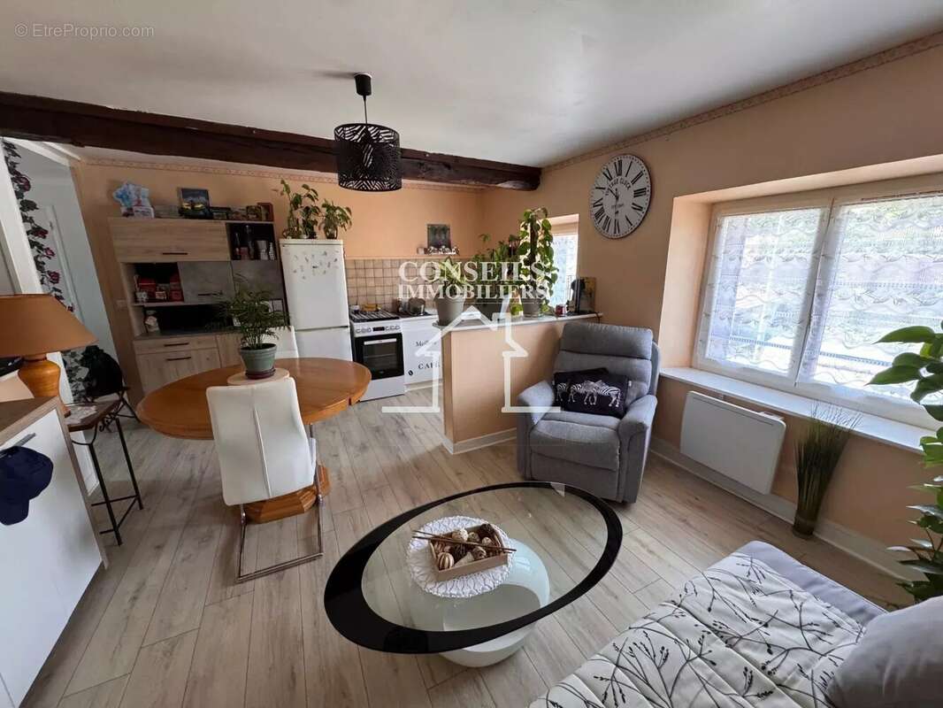 Maison à VILLENEUVE-SUR-YONNE