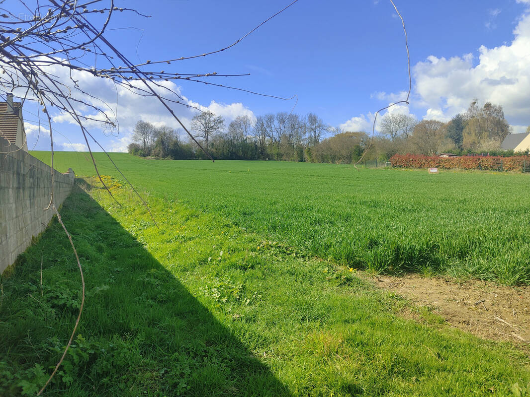 Terrain à MONTJAVOULT