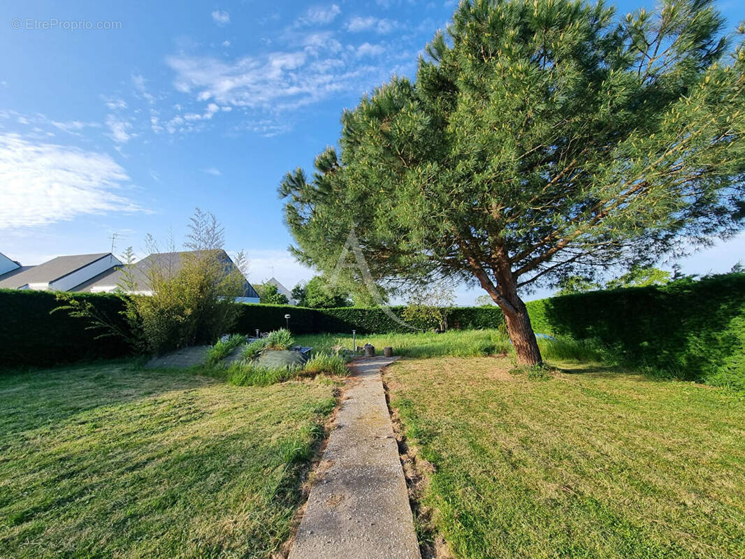 Terrain à CHAMPTOCE-SUR-LOIRE