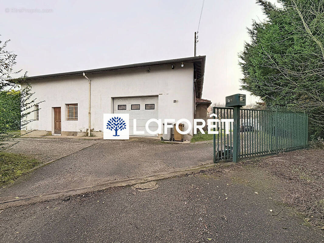 Commerce à NEUVILLE-SUR-SAONE