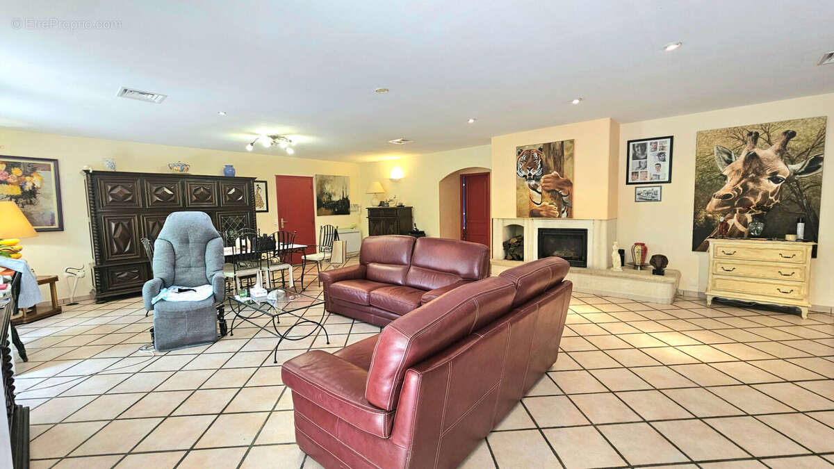 Commerce à FRONTIGNAN