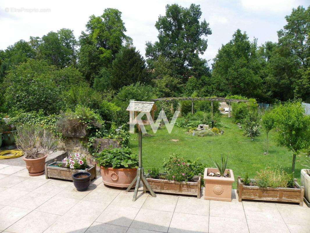 Maison à CORDES-SUR-CIEL