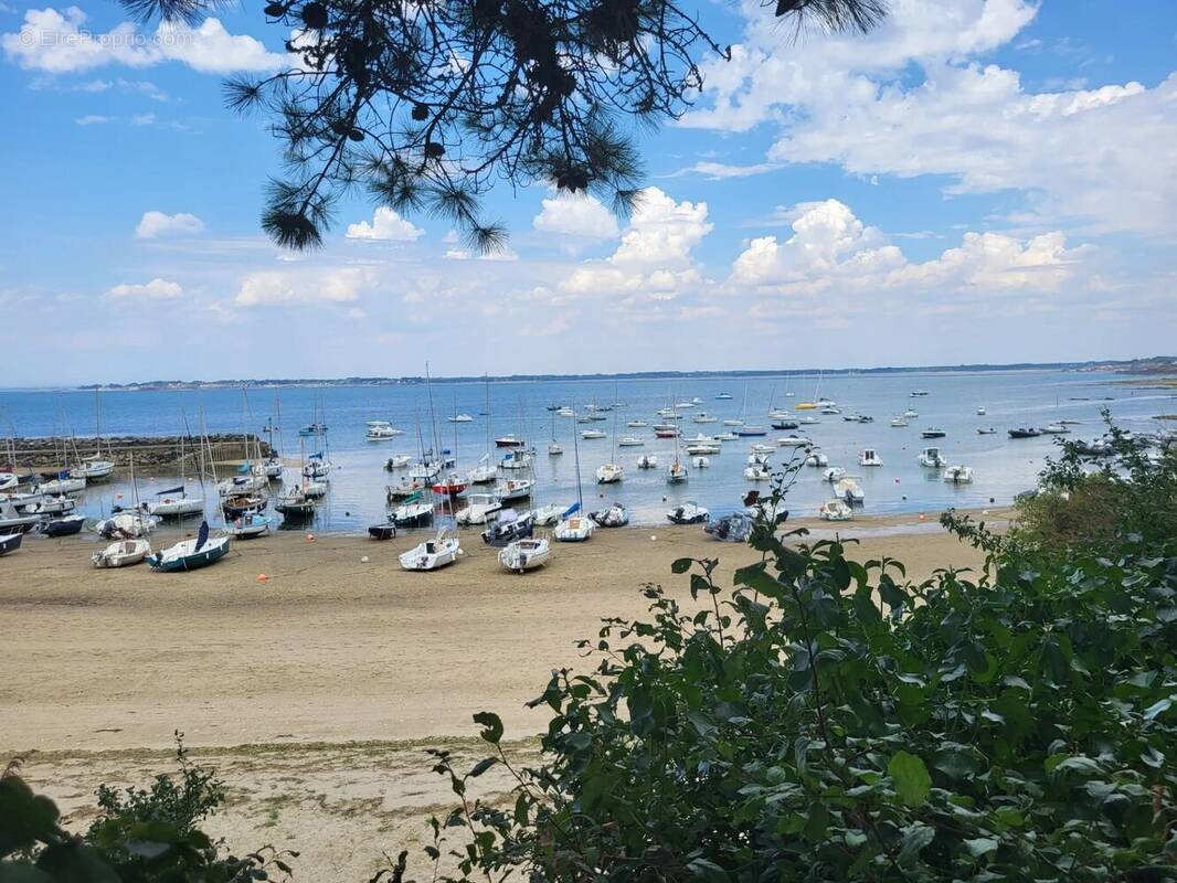 QUIMIAC accès direct plage - photo 1