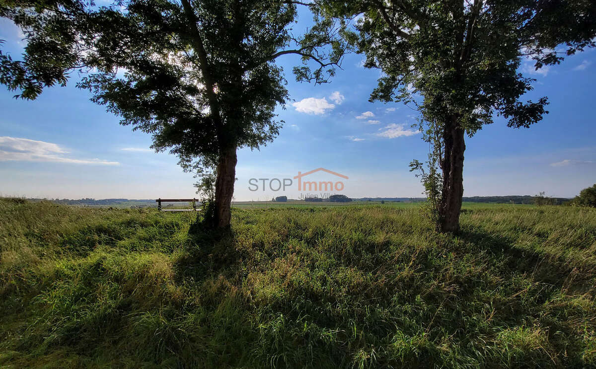 Appartement à MONTREUIL