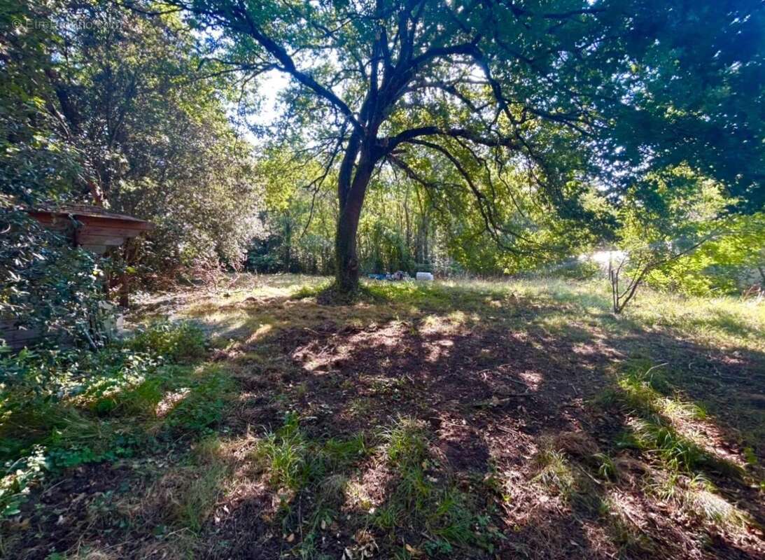Photo 2 - Maison à LE CHATEAU-D&#039;OLERON