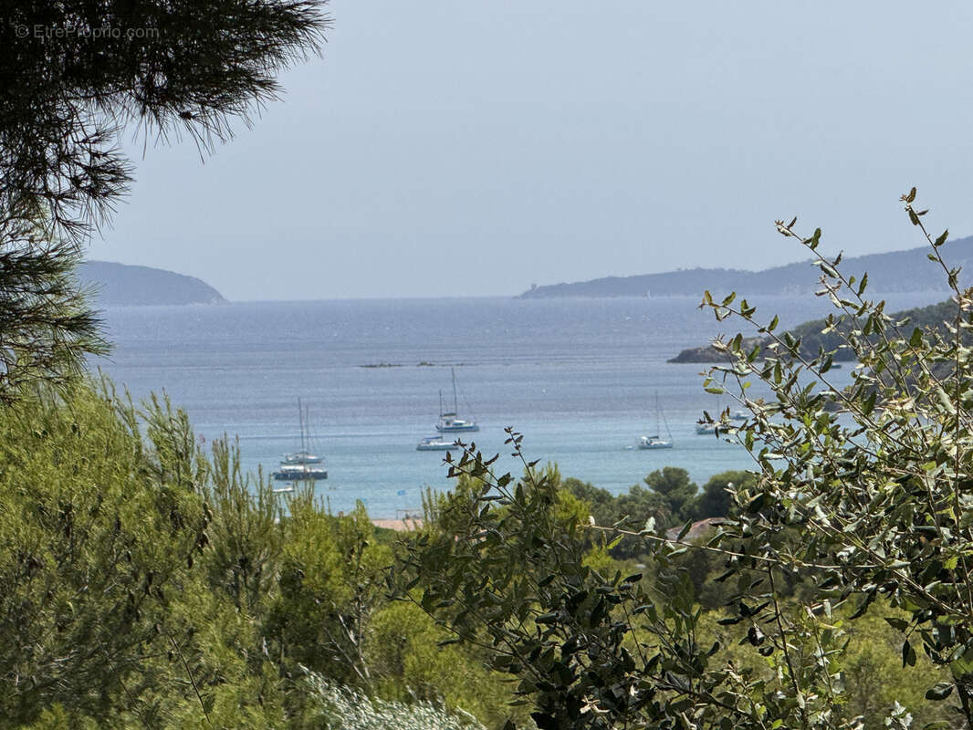 Appartement à BORMES-LES-MIMOSAS