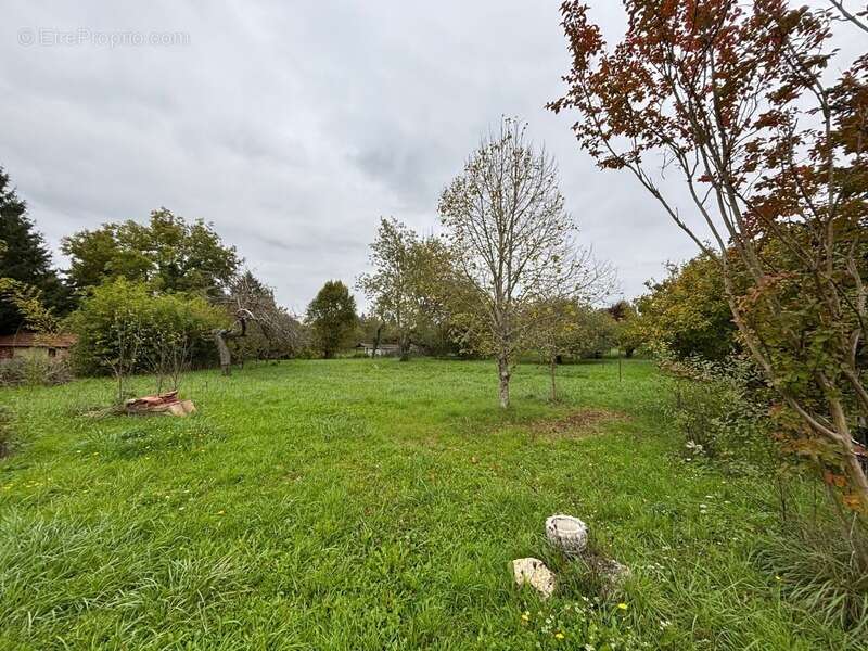 Maison à LA GUERCHE-SUR-L&#039;AUBOIS