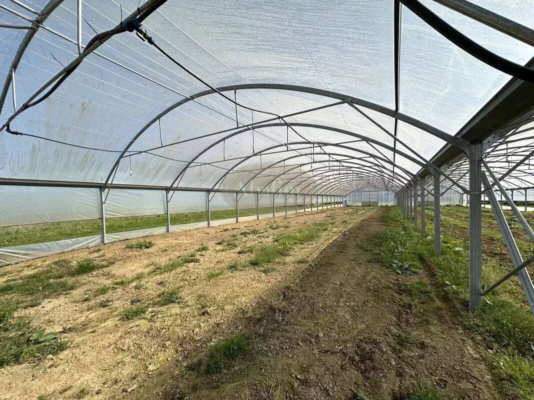 Commerce à PUYDARRIEUX