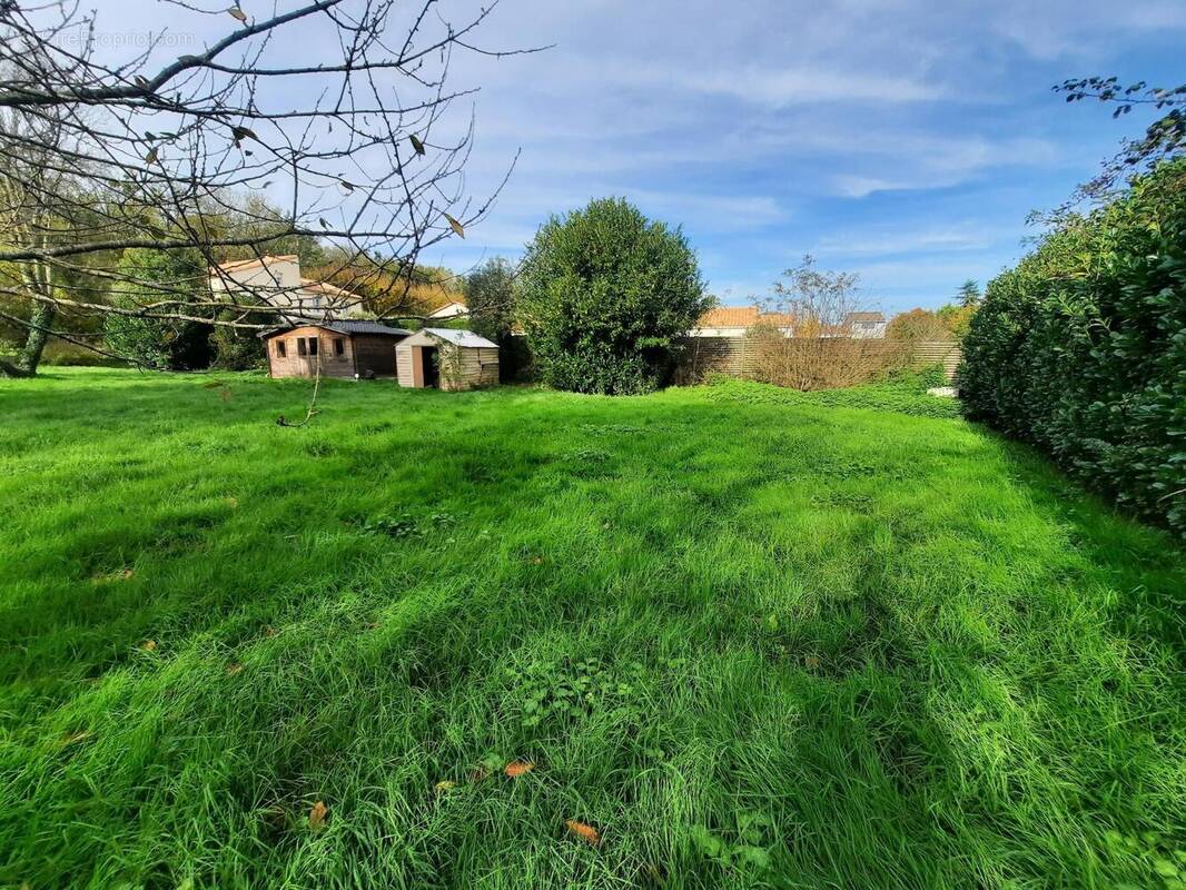 Photo 1 - Terrain à CHAURAY