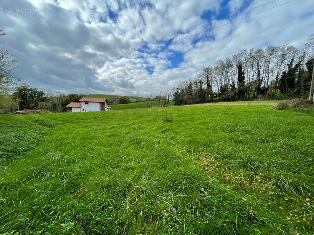 Terrain à HASPARREN