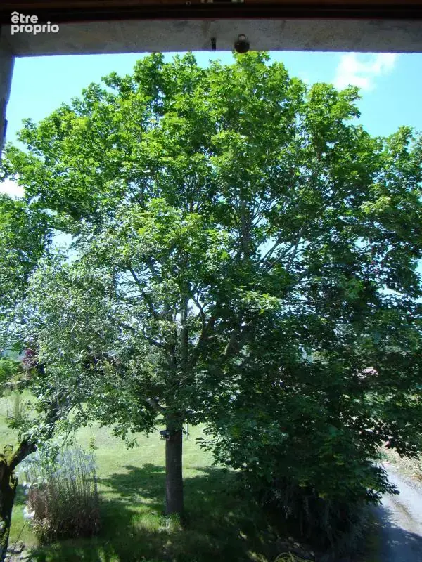 Belle demeure de caractère de 6 pièces de 210 m² à Mazille - photo 15