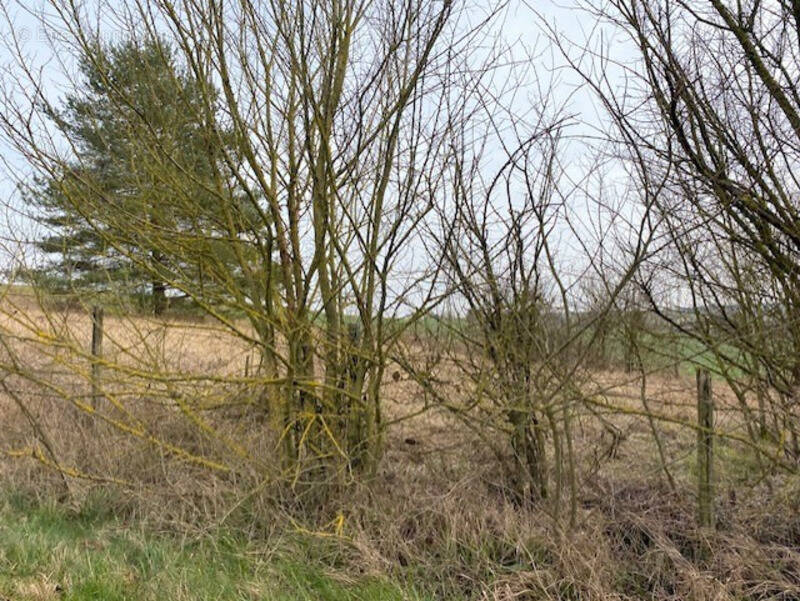 Terrain à VILLENEUVE-L&#039;ARCHEVEQUE