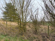 Terrain à VILLENEUVE-L&#039;ARCHEVEQUE